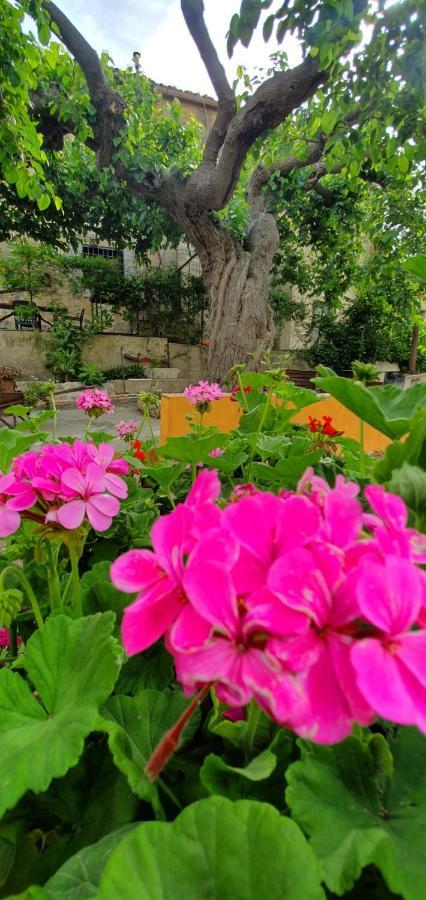 Casa Vacanze Fondaco Di Scillato Scillato  エクステリア 写真