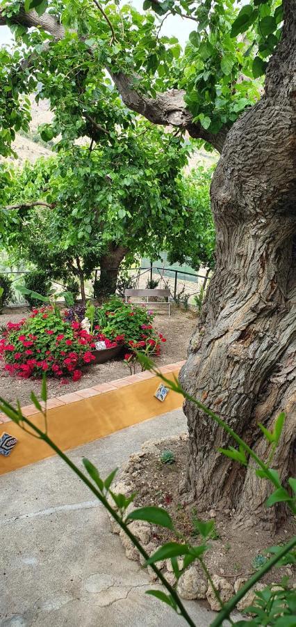 Casa Vacanze Fondaco Di Scillato Scillato  エクステリア 写真