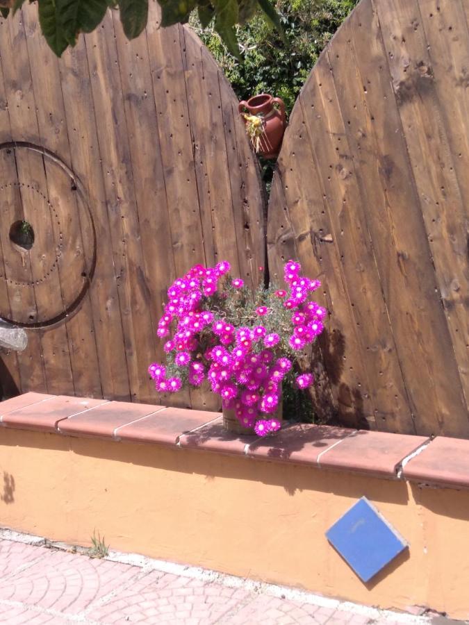 Casa Vacanze Fondaco Di Scillato Scillato  エクステリア 写真