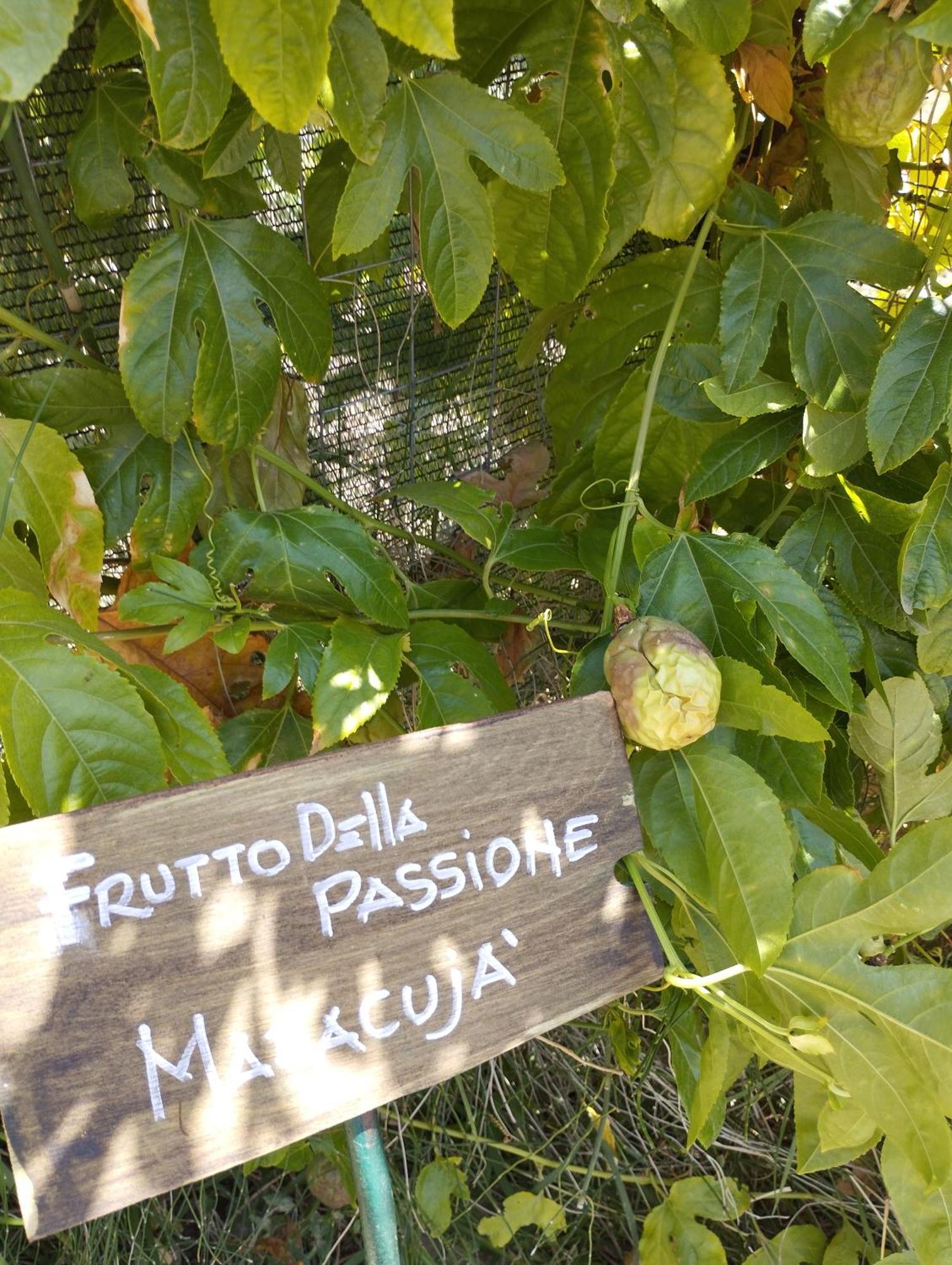 Casa Vacanze Fondaco Di Scillato Scillato  エクステリア 写真